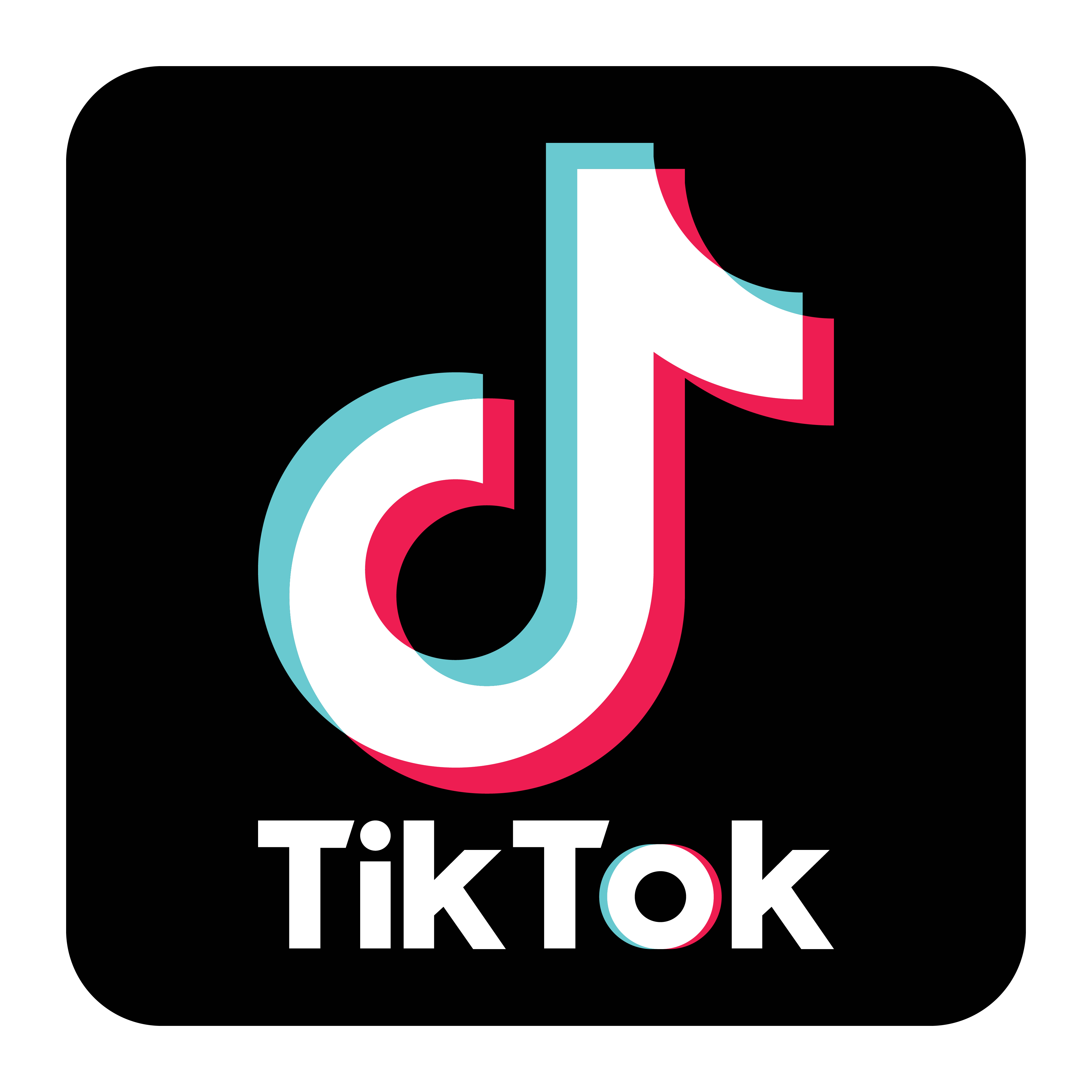 tiktok terra inmobiliaria